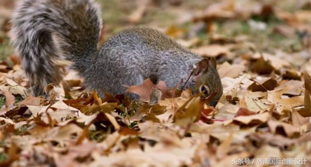 这34个间谍，每天只干一件事：*窥偷**！还拍成电影全球上映？