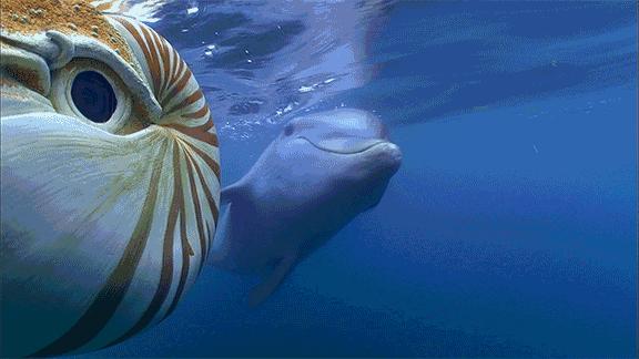 这34个间谍，每天只干一件事：*窥偷**！还拍成电影全球上映？