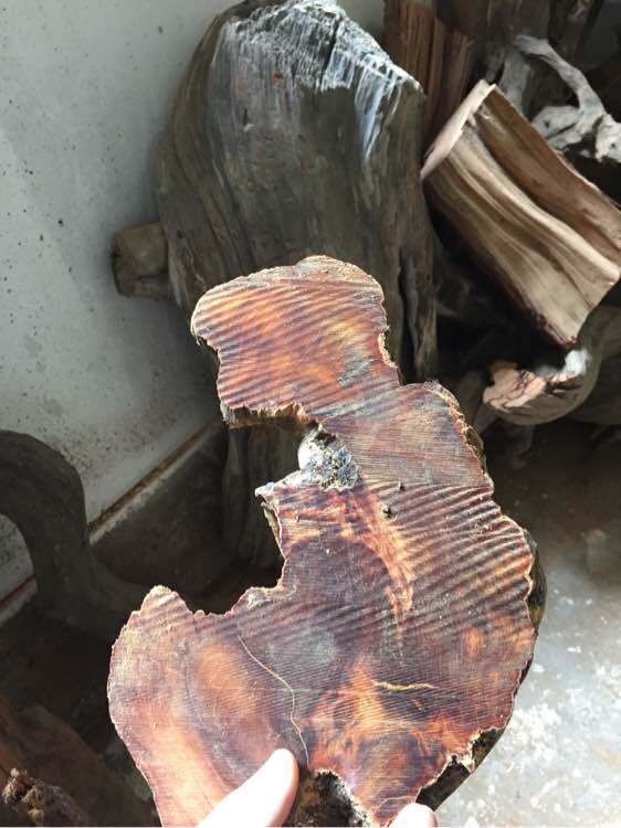 崖柏手串的历史,关于崖柏的那些事