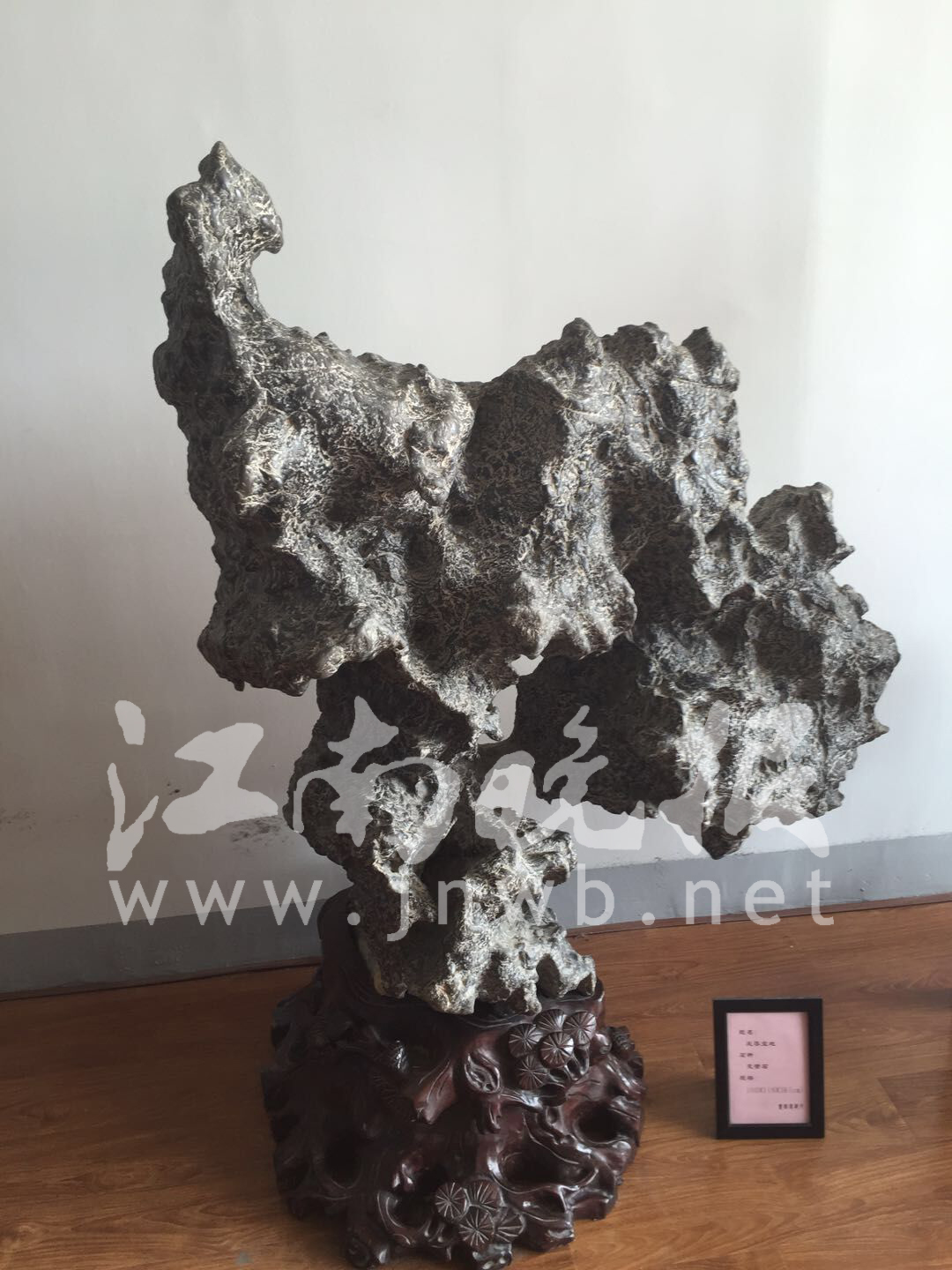 61岁无锡收藏家老伯拥有奇石上万尊,想办个奇石博物馆供大家欣赏