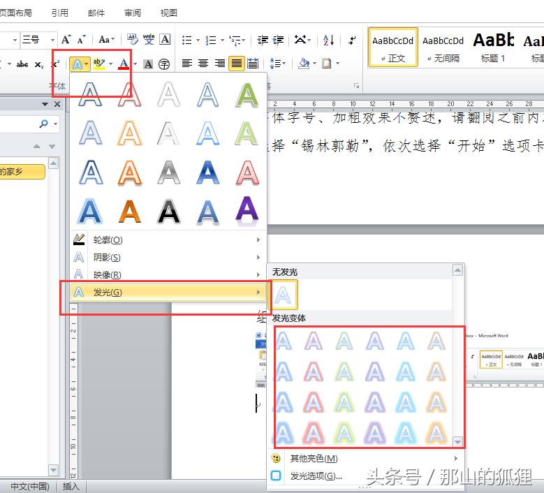 word文档排版我的家乡,2010word格式
