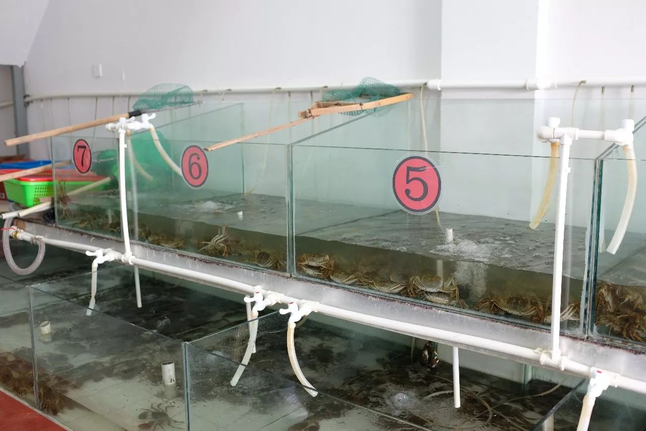 没有螃蟹的秋天怎么办,没有蟹的中秋