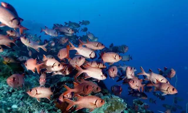 帕劳旅游攻略详解,帕劳旅游攻略六天