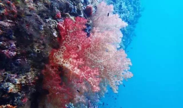 帕劳旅游攻略详解,帕劳旅游攻略六天