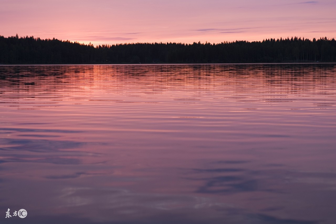 适应温差大的淡水观赏鱼,适合新手养的淡水观赏鱼