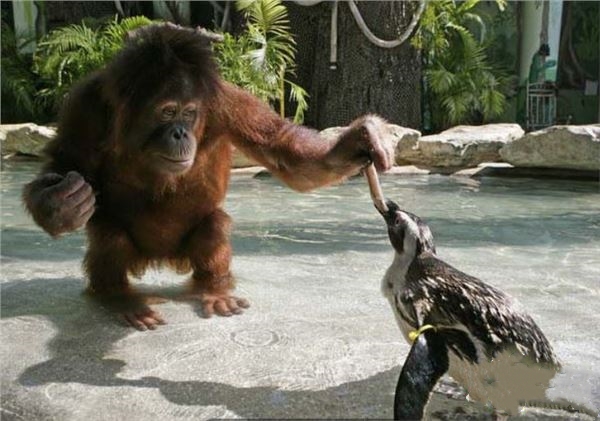 让人觉得神奇的冷门知识,真的很让人涨姿势