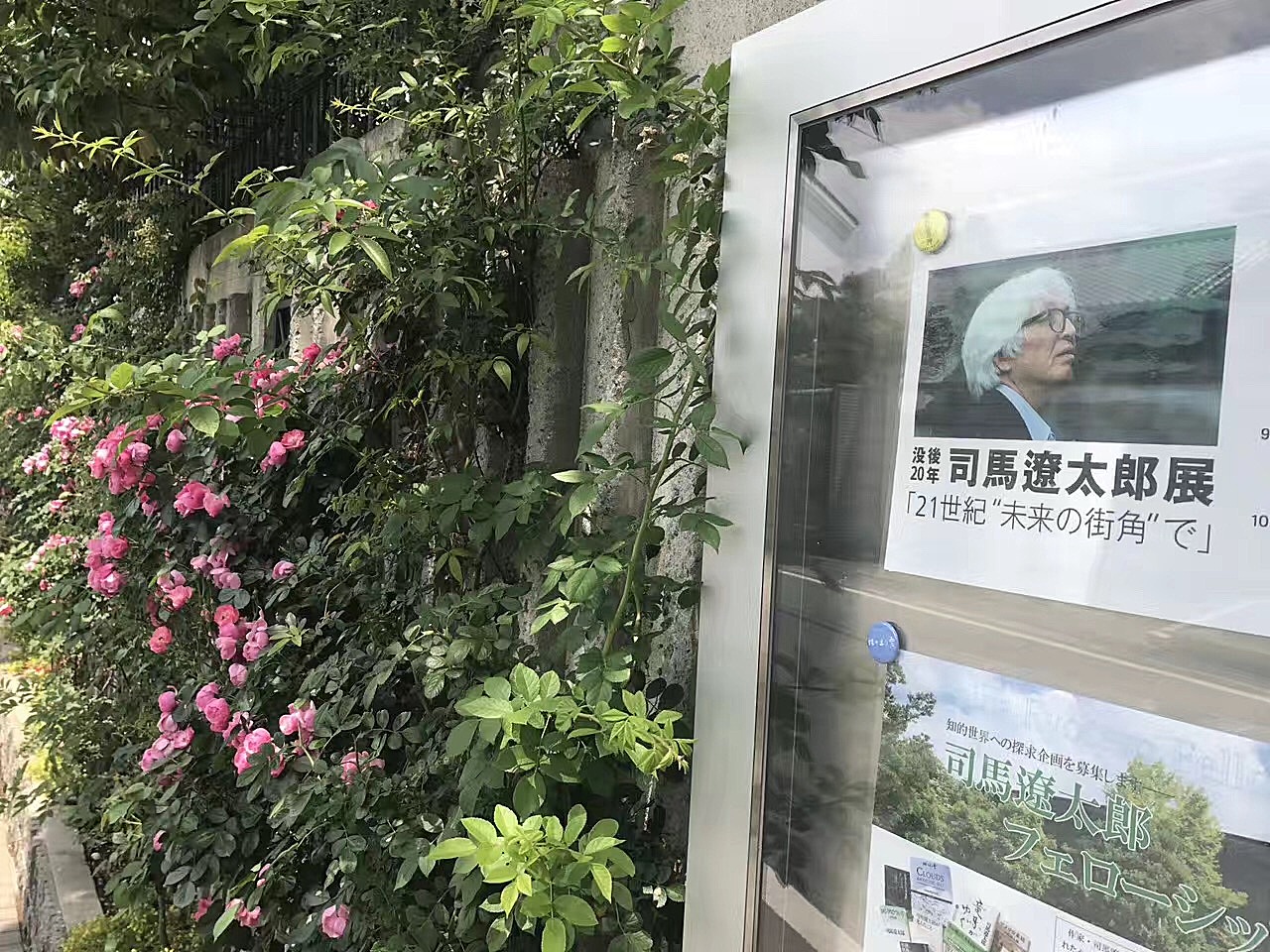 日本的环境脏乱差,日本的环境垃圾