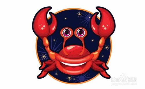 狮子星座最喜欢的礼物,12星座的专属礼物