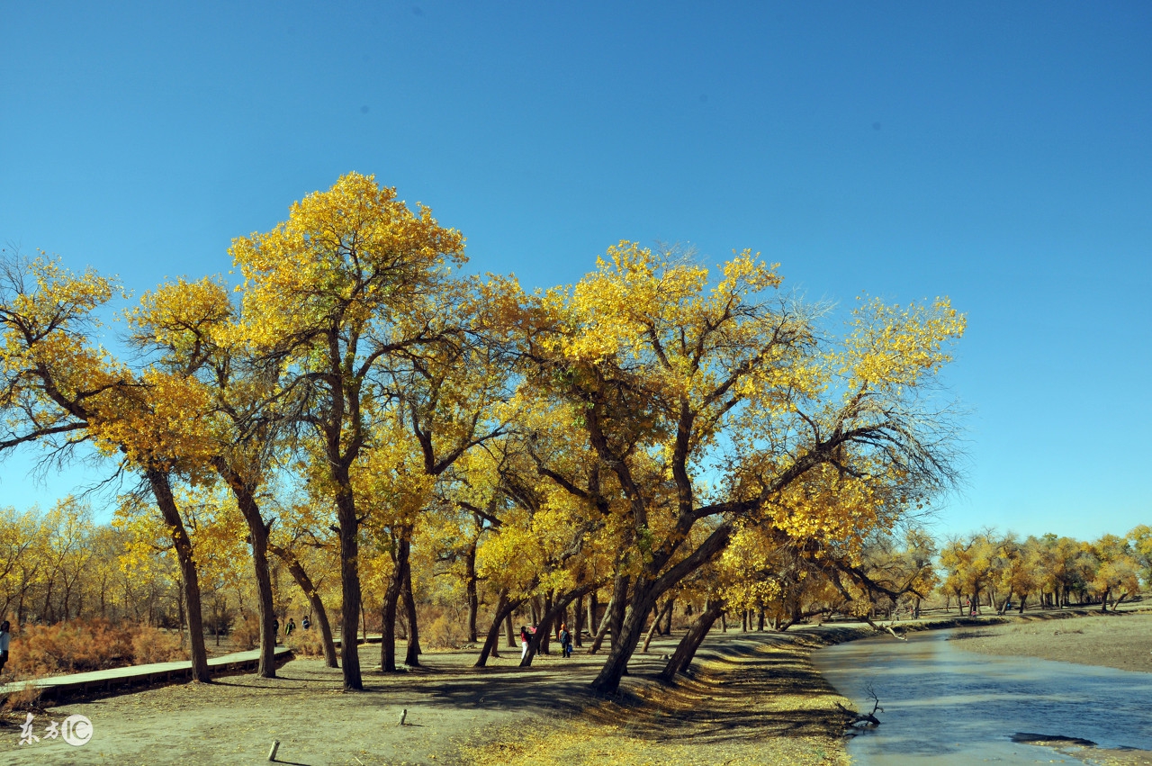 生肖蛇和生肖羊配婚,生肖蛇和生肖羊的婚配可以吗