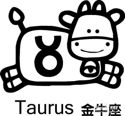 狮子星座最喜欢的礼物,12星座的专属礼物