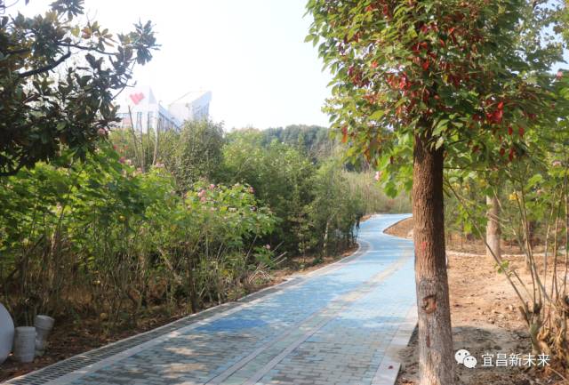 你眼中的三峡是怎么样的,三峡职院有什么专业