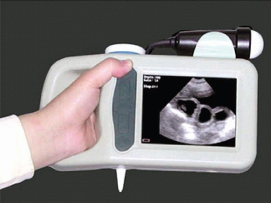 B超对猪场的生产中的应用