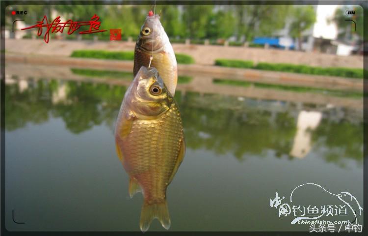 陪伴孩子的野餐,周末家庭式野餐陪伴家人