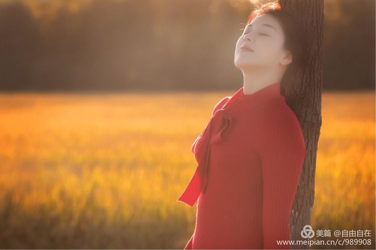 十里稻花香的全诗,十里稻花香的上一句