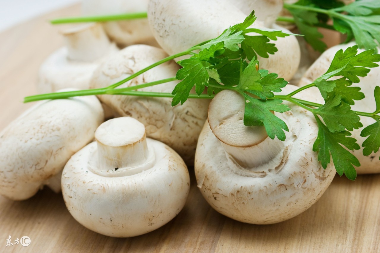 男性预防乳腺癌的最好方法,前列腺的克星食物海参