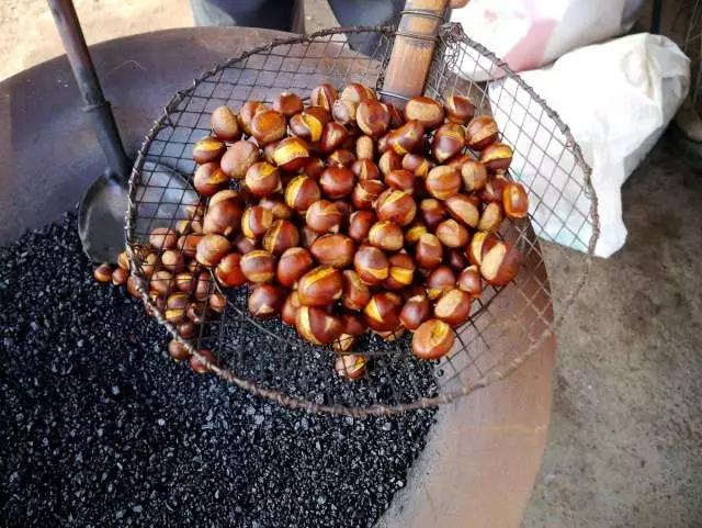 香港小熊饼干榴莲味,香港小熊饼干新款