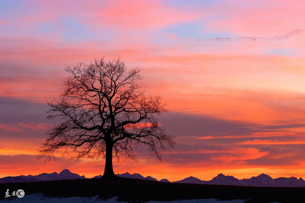 生肖蛇和生肖羊配婚,生肖蛇和生肖羊的婚配可以吗