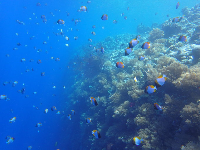 帕劳旅行全攻略,帕劳旅行攻略最佳方案