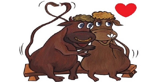 1985年属牛的人今年的运势怎么样,1985年属牛的运势详解