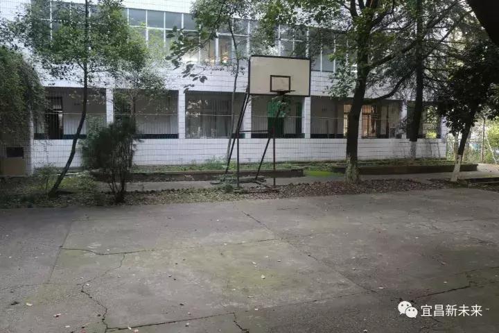 你眼中的三峡是怎么样的,三峡职院有什么专业