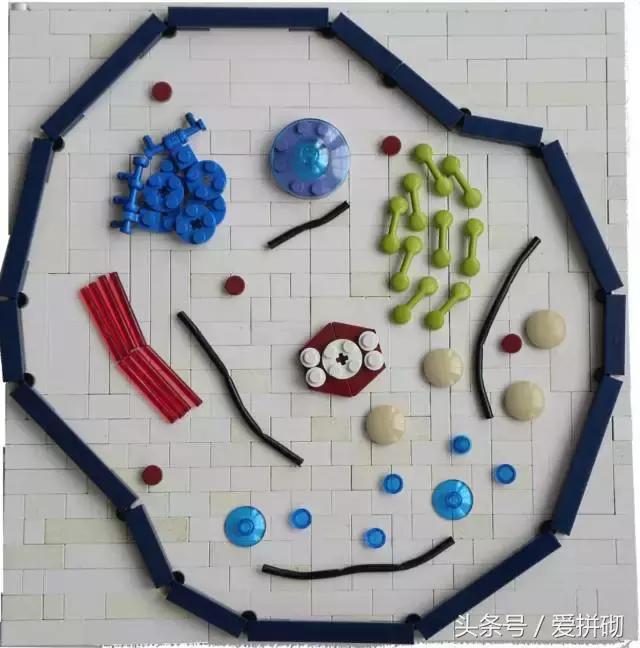 看了乐高ABS挑战，才发现贫穷限制了我的想象力……