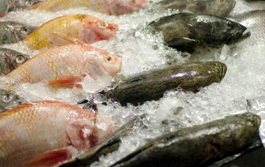 科普厦门海鲜市场,厦门哪里海鲜批发市场海鲜便宜