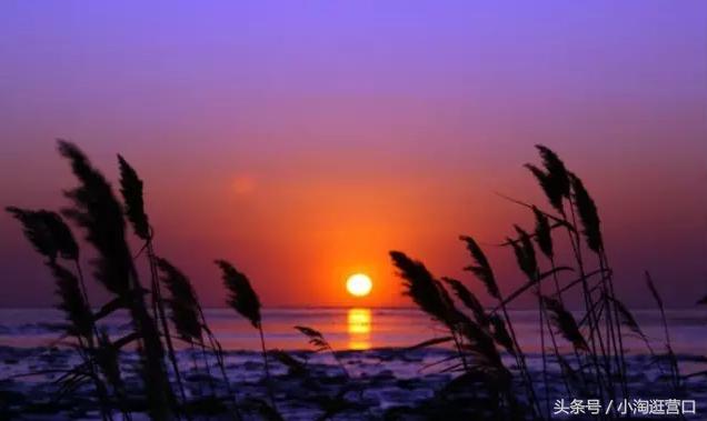 营口最美的风景,营口最美十大旅游景区