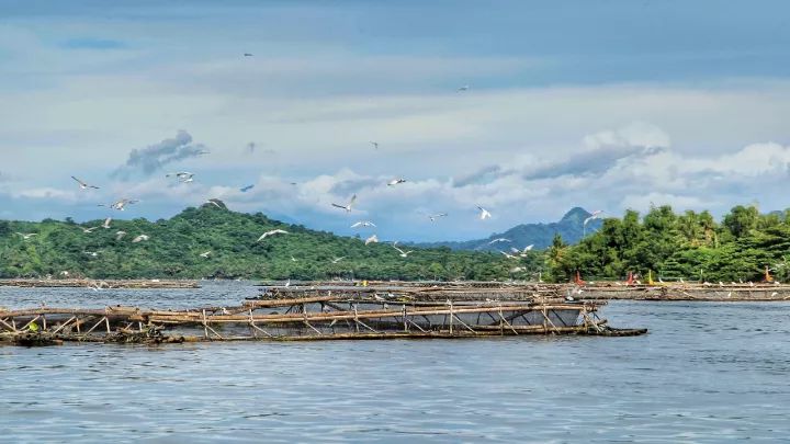 马尼拉菲律宾自由行 (2019菲律宾马尼拉游记)