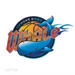 集齐CBA20队队徽，哪队最帅气，有一队最牛逼