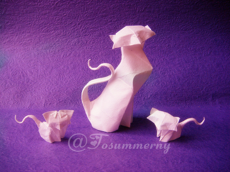 折纸简单中国龙的折纸教程视频,手工折纸男孩最喜欢的简单折纸