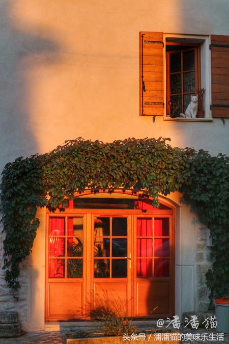 来自普罗旺斯的薰衣草,普罗旺斯薰衣草的味道