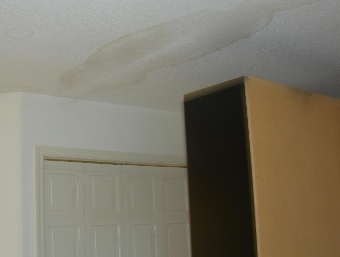 生活百科告诉我们什么,生活百科神奇的果汁