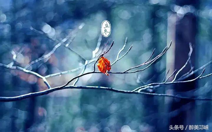 冬日必吃烤全羊,邛人部落烧烤