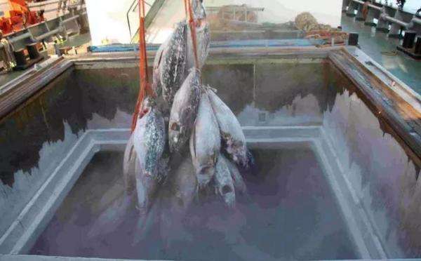 科普厦门海鲜市场,厦门哪里海鲜批发市场海鲜便宜