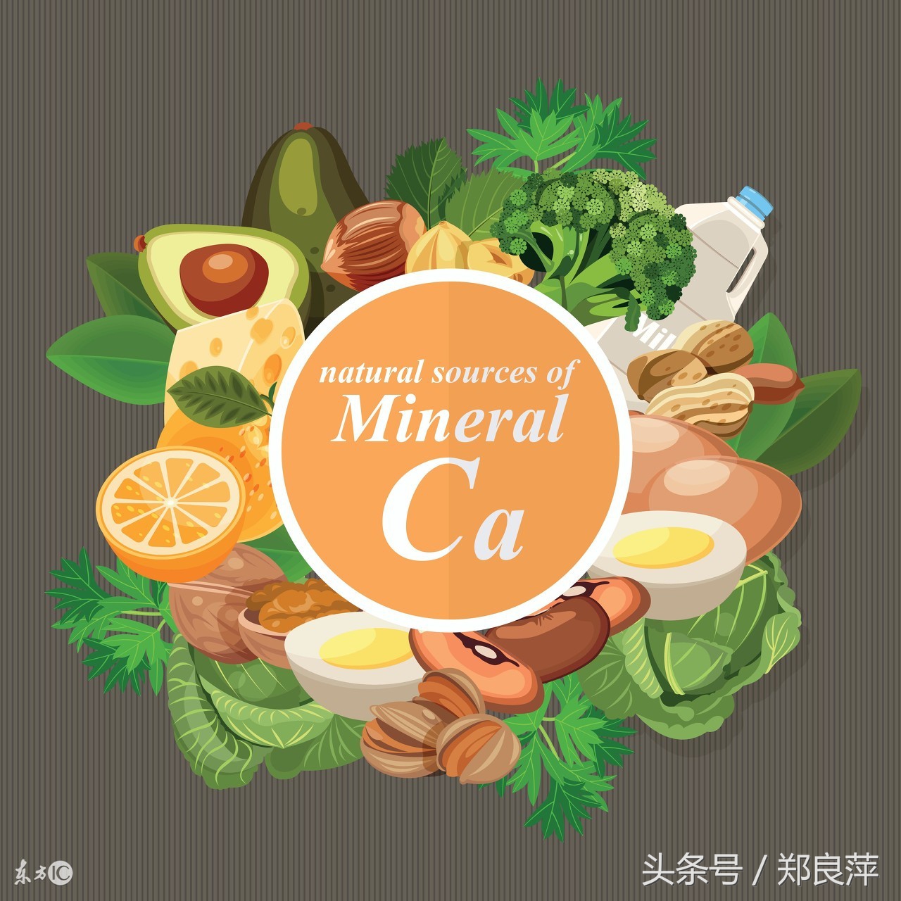 全国各地特产介绍送礼,全国各省区市的土特产