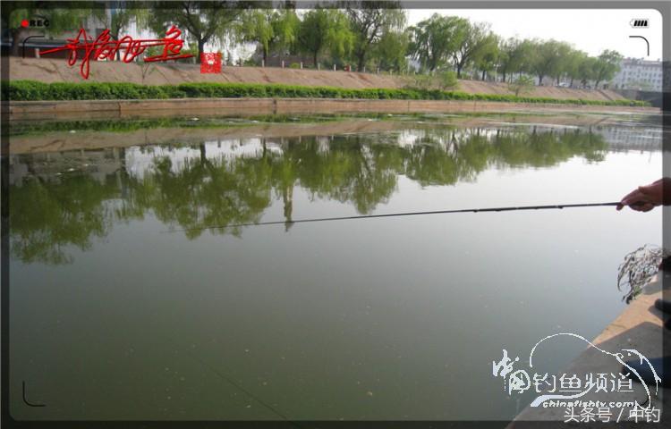 陪伴孩子的野餐,周末家庭式野餐陪伴家人
