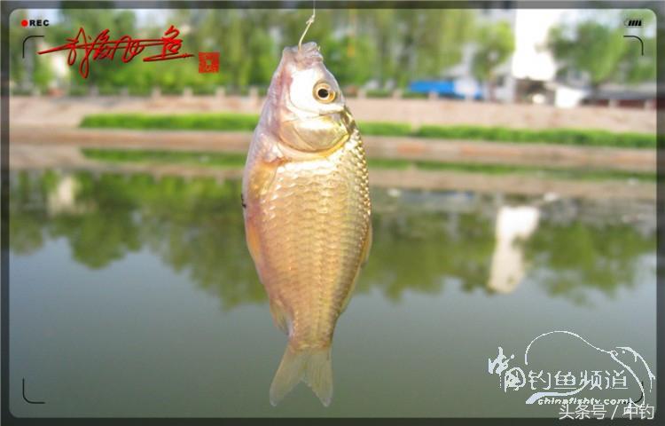 陪伴孩子的野餐,周末家庭式野餐陪伴家人