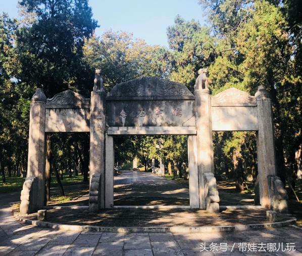 我印象最深的一次出游曲阜,难忘的旅行去曲阜