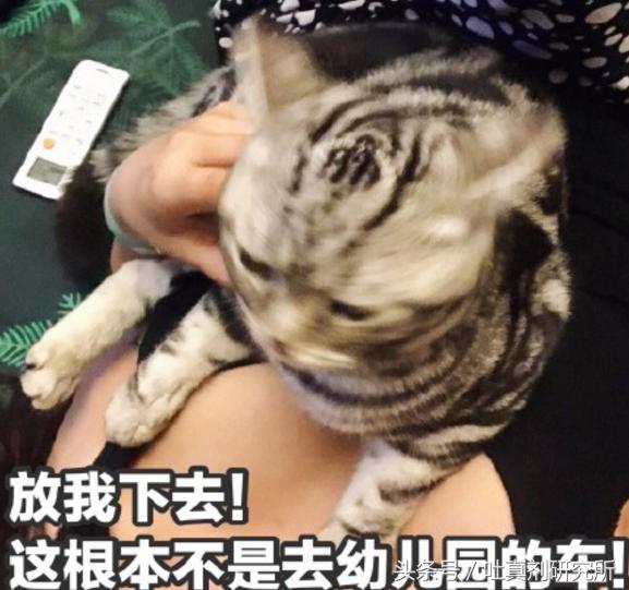 2016年网络流行语汇总,22年网络流行语汇总