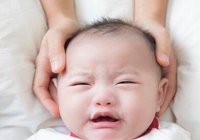 为考名园压力大2.5岁毛毛长斑秃