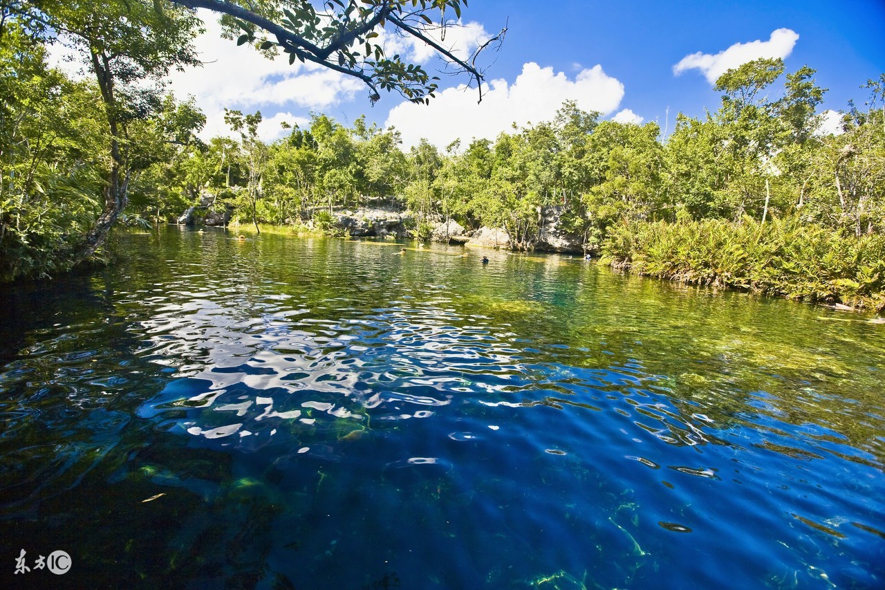 生肖猪的最佳婚配年龄,生肖猪的最佳婚配是什么