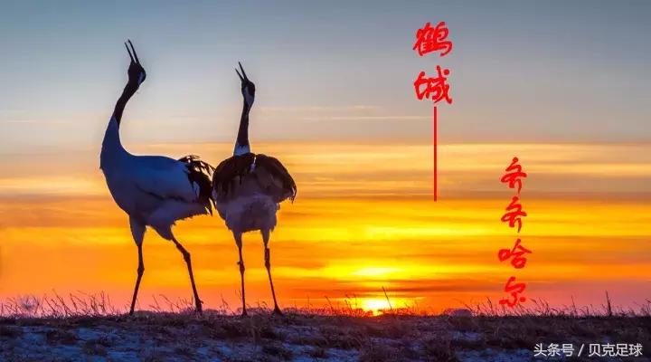 扛起黑龙江中乙联赛旗帜的新旗手——齐齐哈尔中建商砼