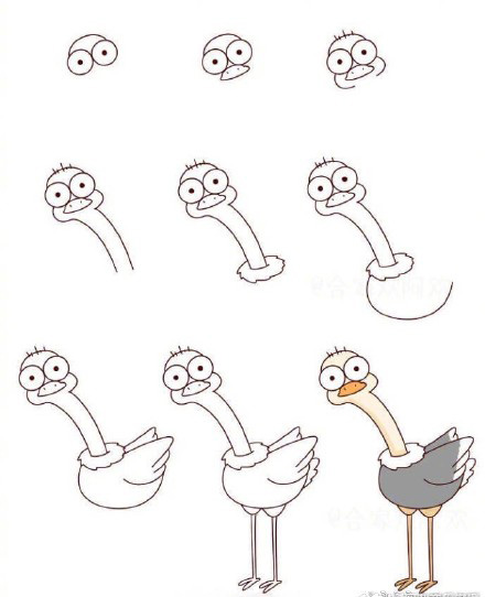 十种鸟类简笔画你看过吗?孔雀鸵鸟猫头鹰都在这里,快收藏教孩子