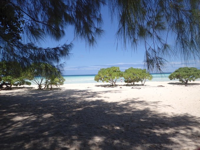 帕劳旅行全攻略,帕劳旅行攻略最佳方案