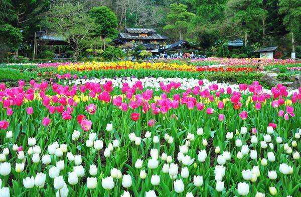 北京市桃源仙谷风景名胜区在哪里,北京凤凰岭桃源仙谷哪个好玩