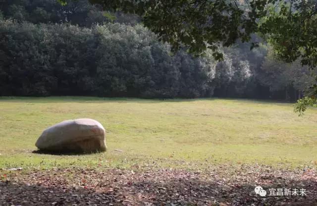 你眼中的三峡是怎么样的,三峡职院有什么专业