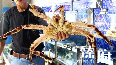 科普厦门海鲜市场,厦门哪里海鲜批发市场海鲜便宜