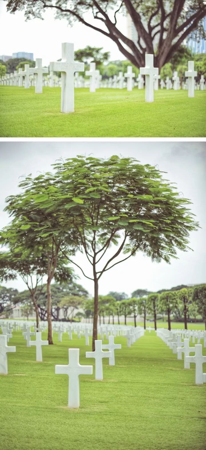 马尼拉菲律宾自由行 (2019菲律宾马尼拉游记)