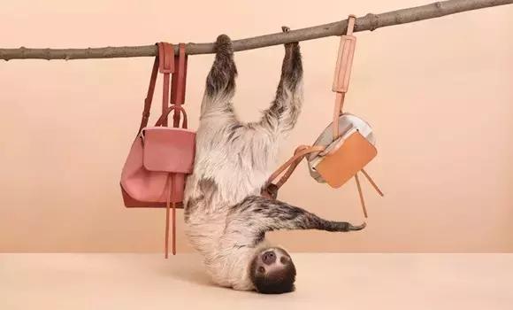 大牌颜值双肩包,高性价比双肩包品牌推荐女款