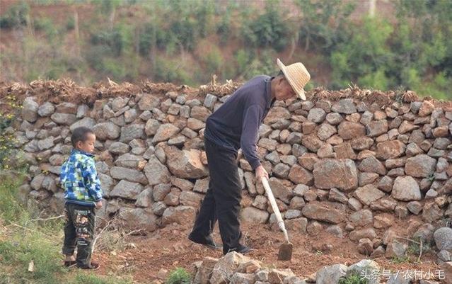 在农村最实用的小生意,当下农村的小生意怎么做